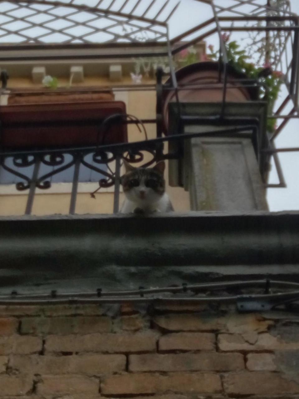 Casa Moresca Venice Ngoại thất bức ảnh